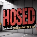 Hosed Meaning Slang: What It Means & How to Use It