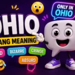 Ohio Slang Meaning: What Does Ohio Mean Online?