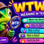 WTW Meaning: What Does WTW Mean in Text?